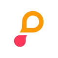 Puzzel Logo